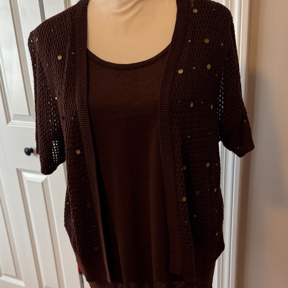 Brown Knit Women's Sweater